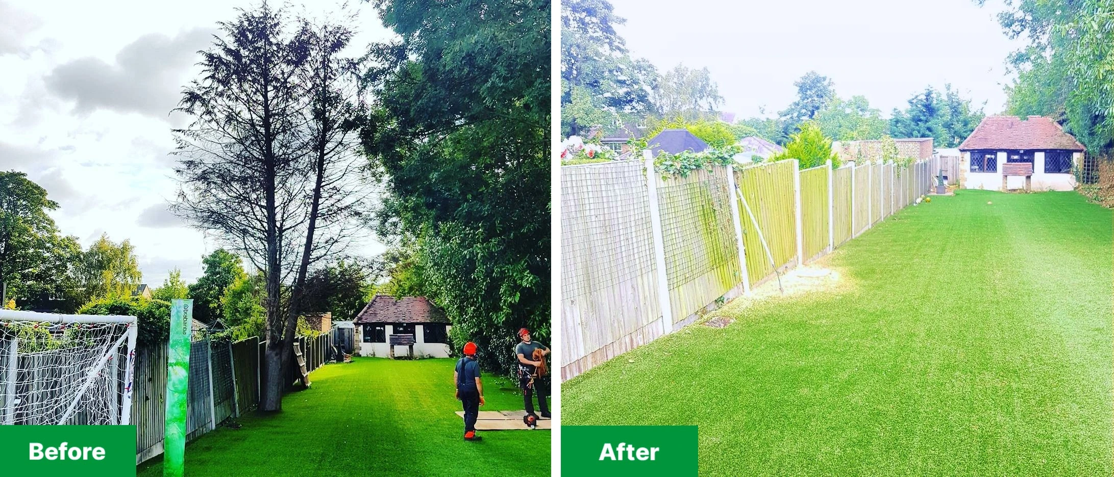 Before and after tree removal